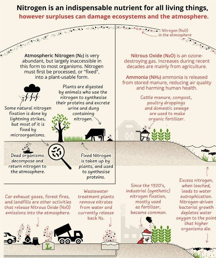 military measures in operation sindoor