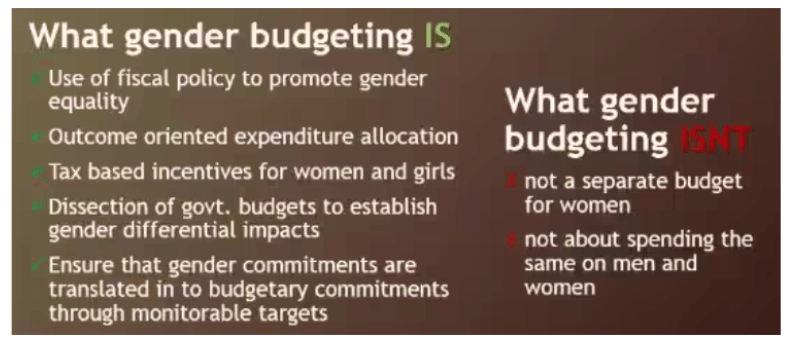 what gender budgeting is