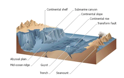 continental margin